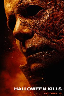 郑州网站优化追风建站